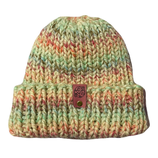 Chunky Knit Beanie - Carousel